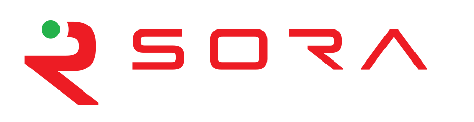 SORA ROBOTIC